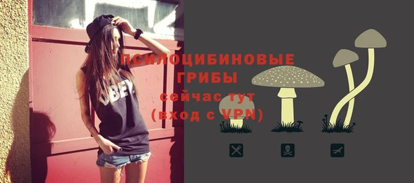 хмурый Абаза