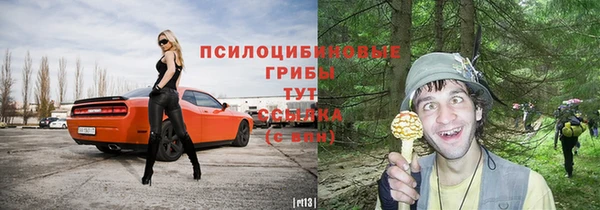 прущий лед Нефтекумск