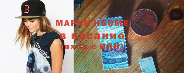 хмурый Абаза