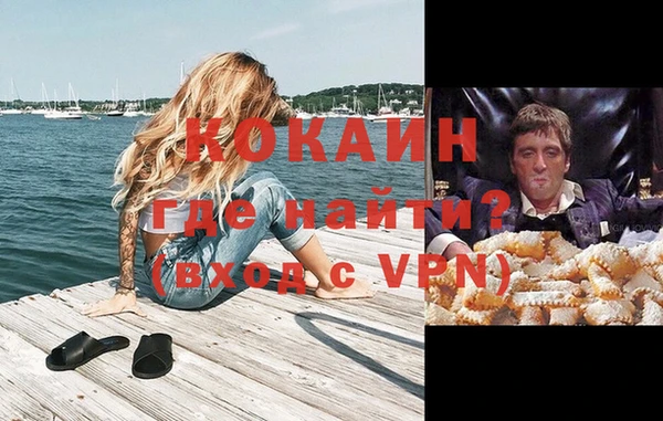 хмурый Абаза